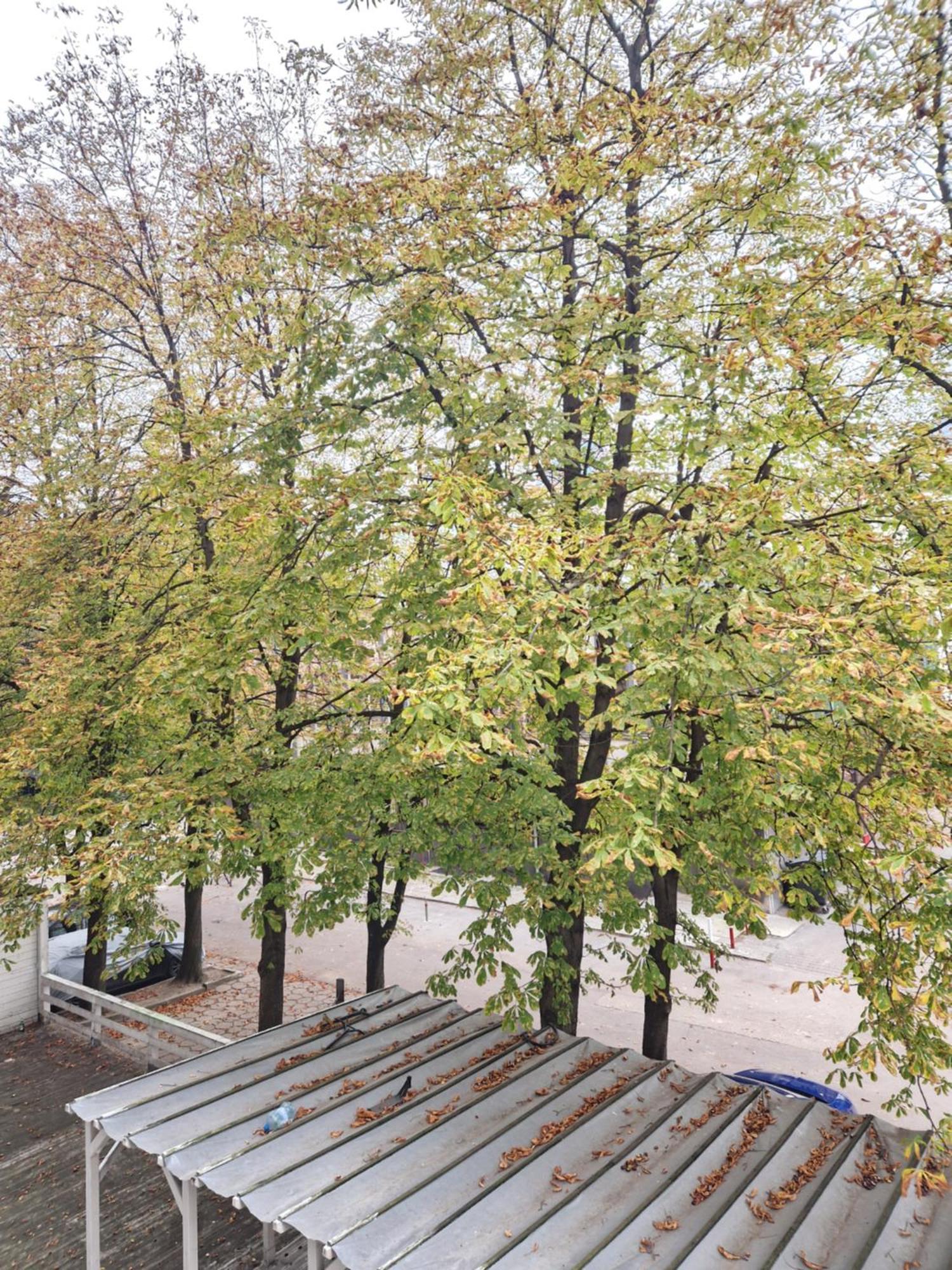 Bosa Centrum Chlodna15 *